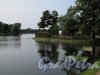 Колонистский парк (Петергоф). Ольгин пруд. Общий вид. Фото август 2010 г. 