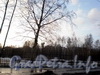 Сад у Серебряного пруда. Вид от Институтского проспекта. Март 2009 г.