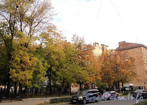 Сквер между домами 19 и 11 по Мичуринской улице. Фото октябрь 2010 г.