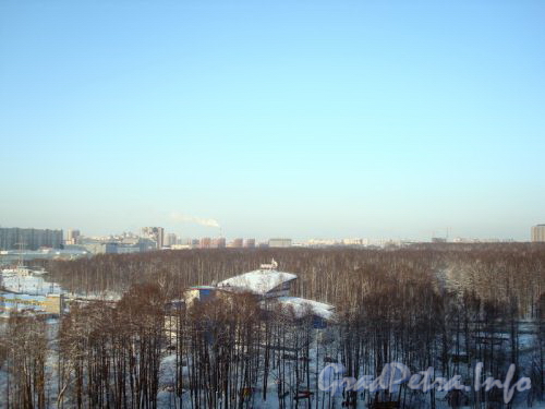 Вид на Удельный парк от улицы Матросажелезняка. Фото январь 2011 года.