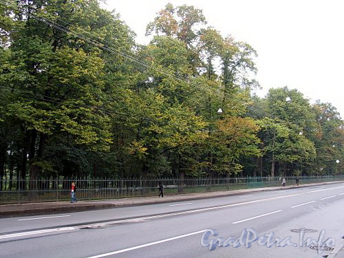 Таврический сад. Вид с Кирочной улицы. Фото сентябрь 2010 г.