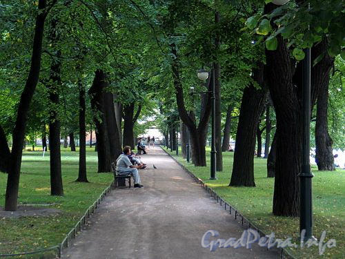Аллея в Михайловском саду. Фото август 2010 г.