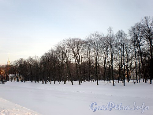 Вид на Михайловский сад со стороны Мойки. Фото март 2010 г.