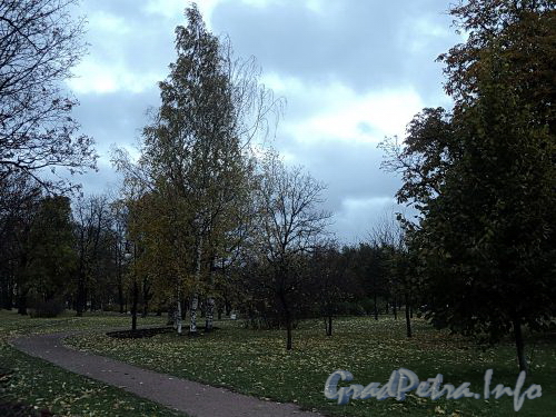 В саду Смольного. Фото октябрь 2010 г.