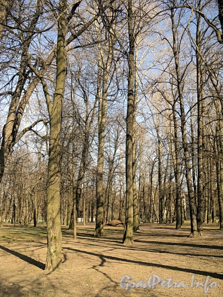 В Лопухинском саду. Фото апрель 2011 г.
