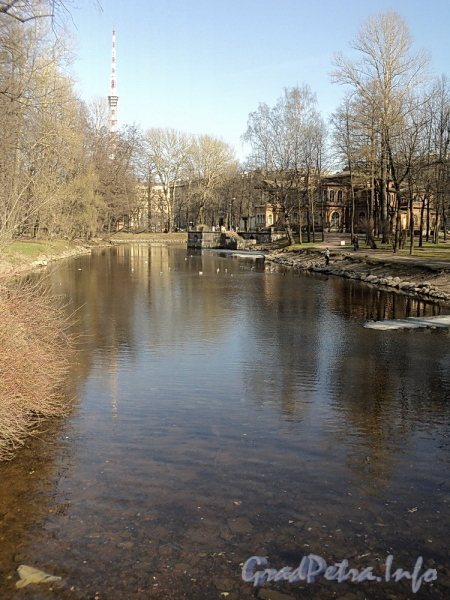 В Лопухинском саду. Фото апрель 2011 г.