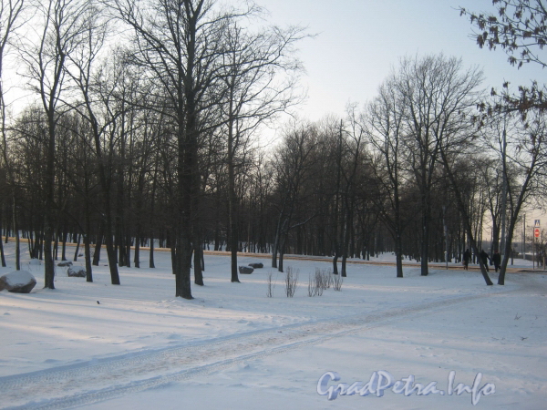 Парк «Новознаменка». Общий вид в сторону ул. 2-ой Комсомольской от ул. Пограничника Гарькавого. Фото февраль 2012 г.