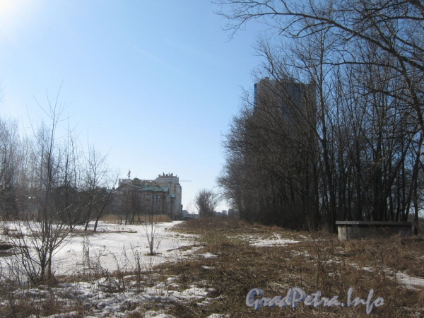 Парк «Александрино». Перспектива от пр. Стачек в сторону пр. Маршала Жукова. Фото март 2012 г.