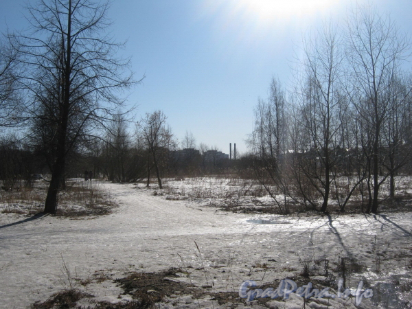Вид парка «Александрино» в сторону домов по ул. Козлова. Фото март 2012 г.