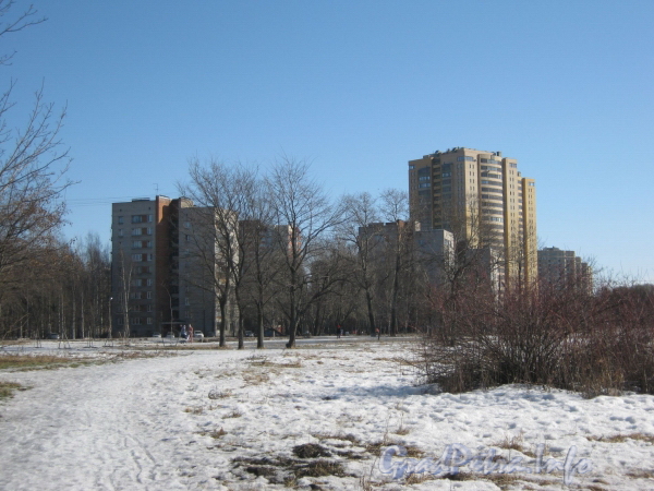 Парк «Александрино». Вид на дома 15 - 29 по ул. Лёни Голикова. Фото март 2012 г.