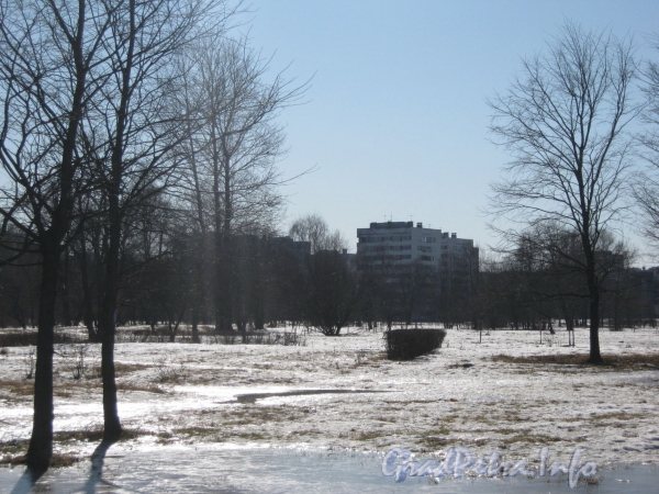 Парк «Александрино». Вид на дома в конце ул. Козлова. Фото март 2012 г.