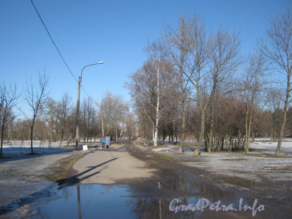 Парк «Александрино» со стороны ул. Козлова. Фото март 2012 г.