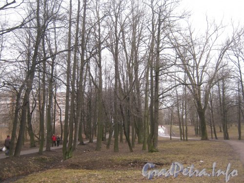Парк «Новознаменка». Тропинка в сторону ул. Тамбасова и дома 2 корпус 2. Фото апрель 2012 г.