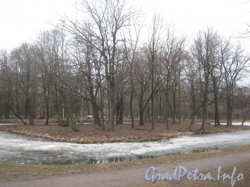 Парк «Новознаменка». Островок в парке. Фото апрель 2012 г.