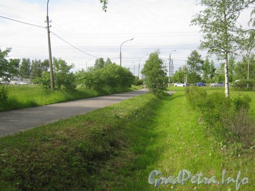 Парк «Новознаменка». Дорожка к Петергофскому шоссе и ЛЭМЗу . Фото 9 июля 2012 г.