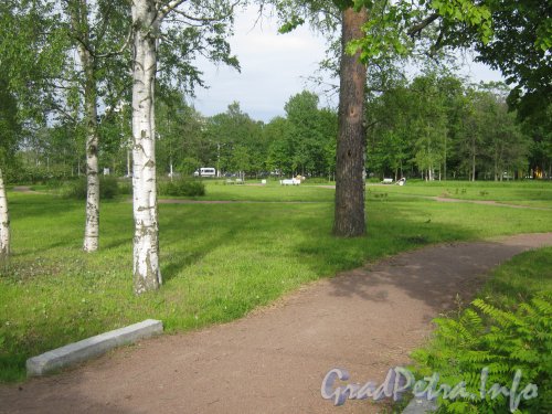 Парк «Новознаменка». Вид от дорожки к ул. Пионерстроя в сторону места отдыха в парке . Фото 9 июля 2012 г.
