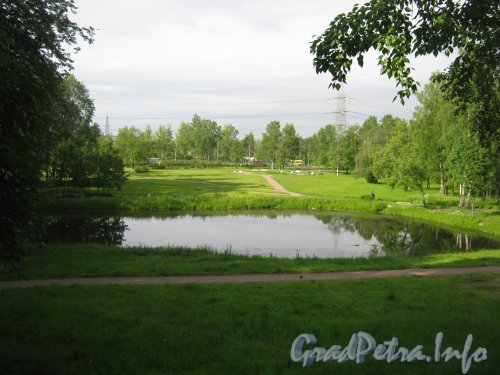 Общий вид от дома 19, лит. А по ул. Чекистов на озеро в парке «Новознаменка». Фото 9 июля 2012 г.