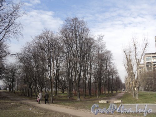 Перспектива Заневского парка от Гранитной улицы в сторону Рижской улицы. Фото апрель 2011 г.