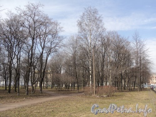 Перспектива Заневского парка от Рижской улицы в сторону Таллинской улицы. Фото апрель 2011 г.