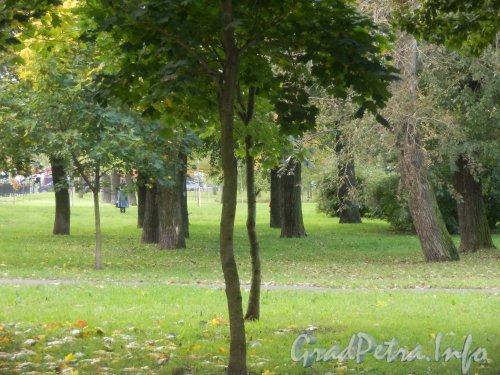 Палевский сад. Фрагмент сада. Фото октябрь 2012 года.