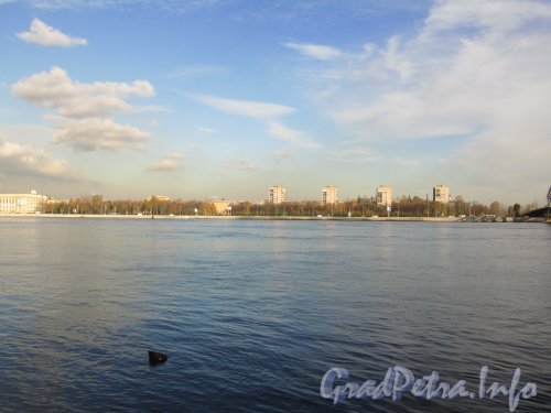 Вид на Заневский парк с левого берега Невы. Фото октябрь 2012 г.