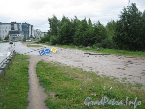 Юнтоловский парк (справа) в районе пересечения Шуваловского пр. и Планёрной ул. Фото 19 июля 2012 г.