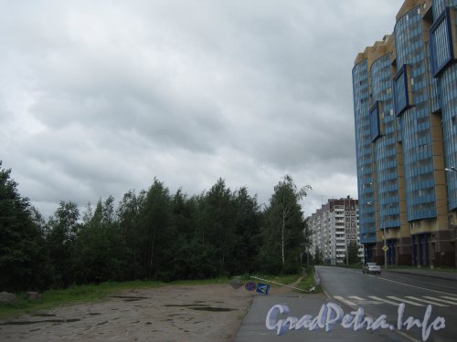 Юнтоловский парк (слева) в районе пересечения Шуваловского пр. и Планёрной ул. Фото 19 июля 2012 г.