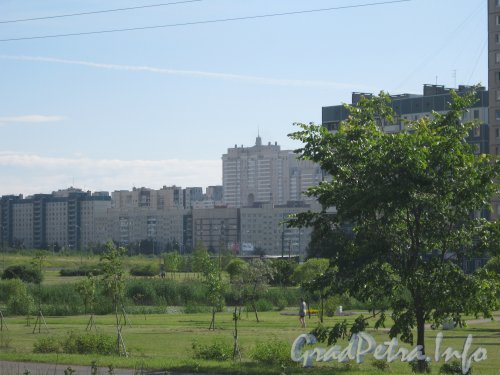 Мартыновский сквер и вид на дома по Мартыновской ул. с Парашютной ул. Фото 20 июля 2012 г.