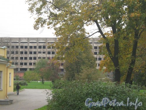 Парк «Кирьяново» и усадьба «Кирьяново». Вид с пр. Стачек на дом 45 корпус 2 литера Б за парком. Фото 5 октября 2012 г.
