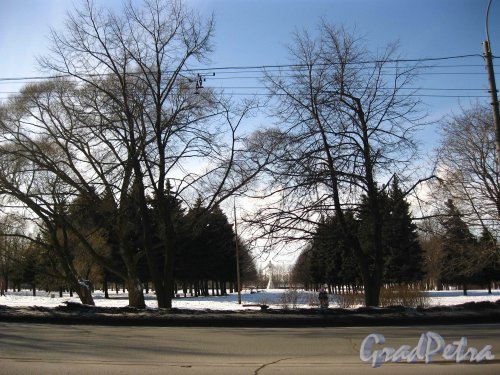 Центральная аллея парка Авиаторов. Вид с Новоизмайловского проспекта. Фото 13 марта 2013 г.