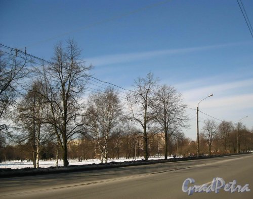 Участок парка Авиаторов между Новоизмайловским проспектом и Кузнецовской улицей. Фото 13 марта 2013 г.