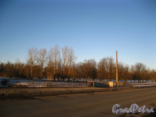 Участок Южно-Приморского парка у 2-го Петергофского моста. Фото 28 марта 2013 г.