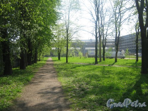 Парк (сад) Кирьяново. Общий вид с Новоовсянниковской ул. Фото 18 мая 2013 г. 