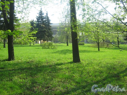 Парк (сад) Кирьяново. Вид в сторону дачи княгини Екатерины Дашковой (пр. Стачек, дом 45). Фото 18 мая 2013 г.
