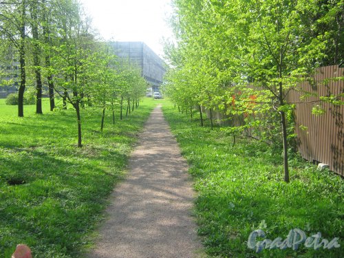Парк (сад) Кирьяново. Вид в сторону недостроенного складского комплекса (пр. Стачек, дом 45, корпус 2). Фото 18 мая 2013 г.