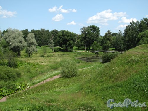 Парк Мариенталь (Павловск) Общий вид на пейзажный парк, мост и пруд. Фото 2013 г.