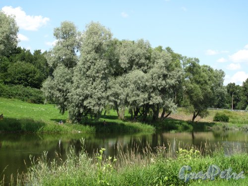 парк Мариенталь, река Славянка. Фото 2013 г.