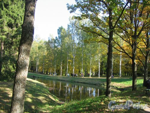 парк Павловский. 1-й Круглозальский пруд. Фото 2005 г.