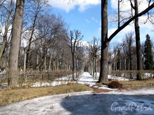 парк Павловский. Большие круги. Фото апрель 2012 г