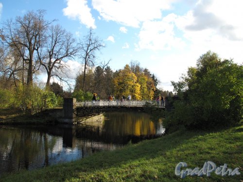 парк Павловский. Рзовопавильонный мост. Фото октябрь 2012 г