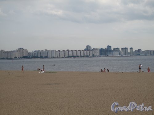 парк 300-летия Петербурга. Пляж. Фото август 2013 г.