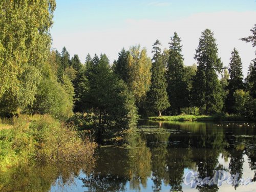 Шуваловский парк. Пруд «Рубаха Наполеона» со стороны ручья. Общий вид. Фото сентябрь 2011 г.