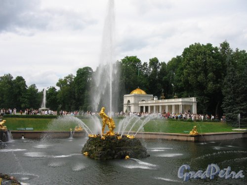 Нижний парк (Петергоф). Ковш морского канала и фонтан Самсон. Фото июнь 2005 г. 