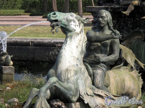 Верхний парк (Петергоф). Фонтан "Нептун". Фрагмент композиции. Фото август 2010 г.
