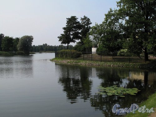 Колонистский парк (Петергоф). Ольгин пруд. Общий вид. Фото август 2010 г. 