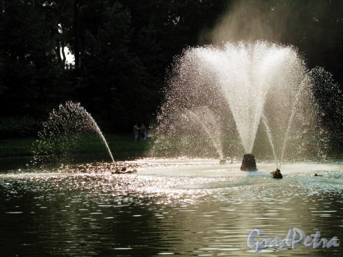 Нижний парк (Петергоф). «Китовый» фонтан. Фото август 2010 г.