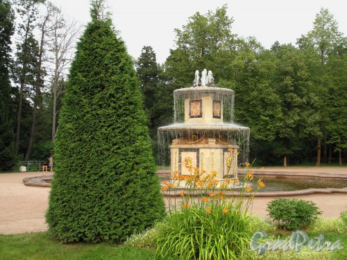 Нижний парк (Петергоф). Римский фонтан. Фото август 2010 г.