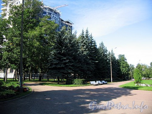 Василеостровский сад. Фото сентябрь 2009 г.