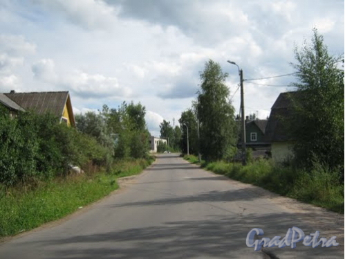 Безымянный переулок в Мартышкино. Фото 2010 г.