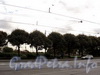 Партерный сквер на Троицкой площади. Вид с улицы Куйбышева. Фото октябрь 2010 г.